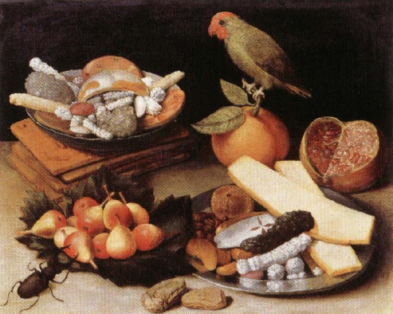FLEGEL, Georg Still Life with Parrot oil painting image